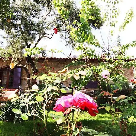 Hotel Stonehouse Byipek *