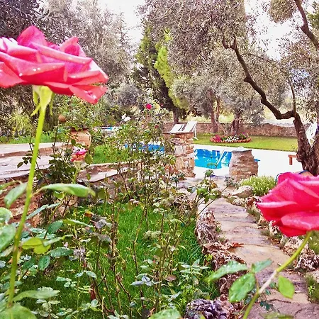 Hotel Stonehouse Byipek *