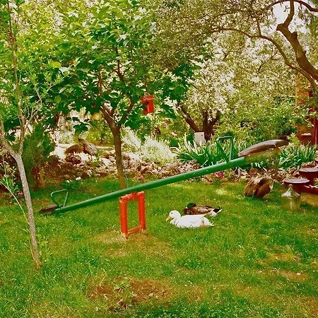 Stonehouse Byipek Σελτσούκ