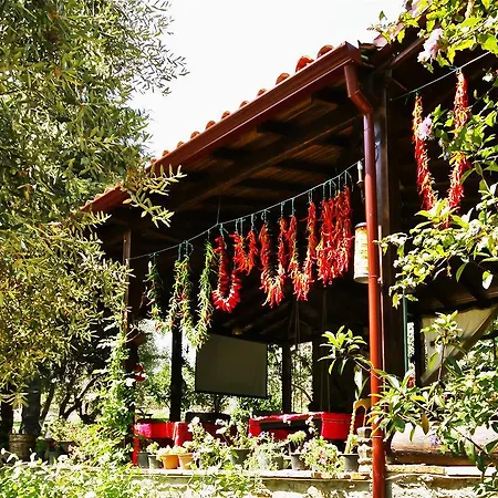 Ξενοδοχείο Stonehouse Byipek *