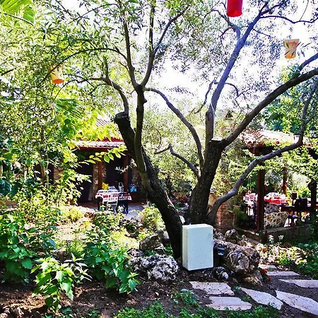 Ξενοδοχείο Stonehouse Byipek Σελτσούκ