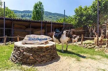 Stonehouse Byipek Σελτσούκ