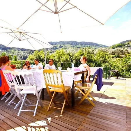 Stonehouse Byipek Selçuk